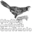 birding-antigua-guatemala.com favicon