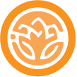 vacationsaga.com favicon