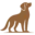 wooftrek.co.uk favicon