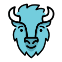 bisonapp.com favicon