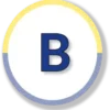 bracero.in favicon