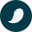 salmovisa.com favicon