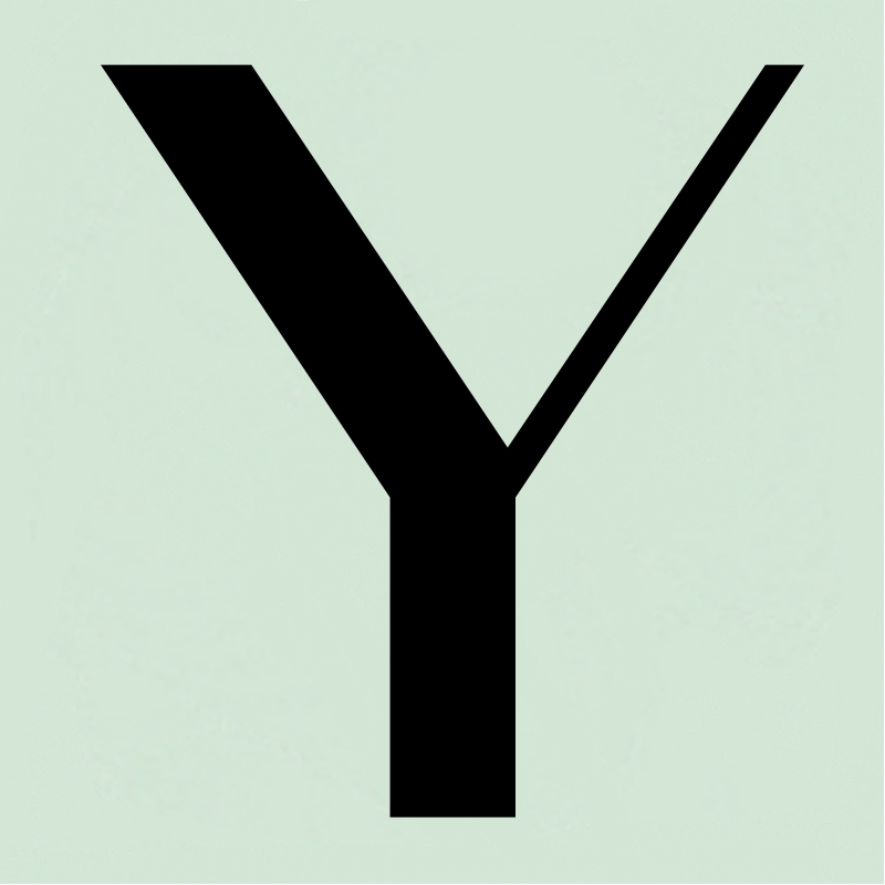 yasmni.com favicon