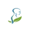 healthwisechiropracticclinic.com favicon