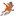 webneus.nl favicon