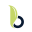 bloomfin.ca favicon