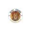 elkytoursandtravel.com favicon