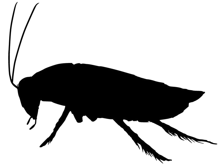 livefoodtamworth.co.uk favicon