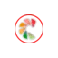 objetivodele.com favicon