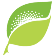 acceleratedsystems.com favicon