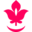 namaste-reizen.nl favicon