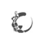 orchid-florist.com favicon