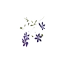 pepinieredelapetitefoulerie.fr favicon