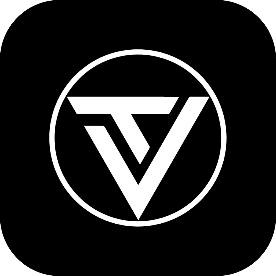 vincetrading.eu favicon
