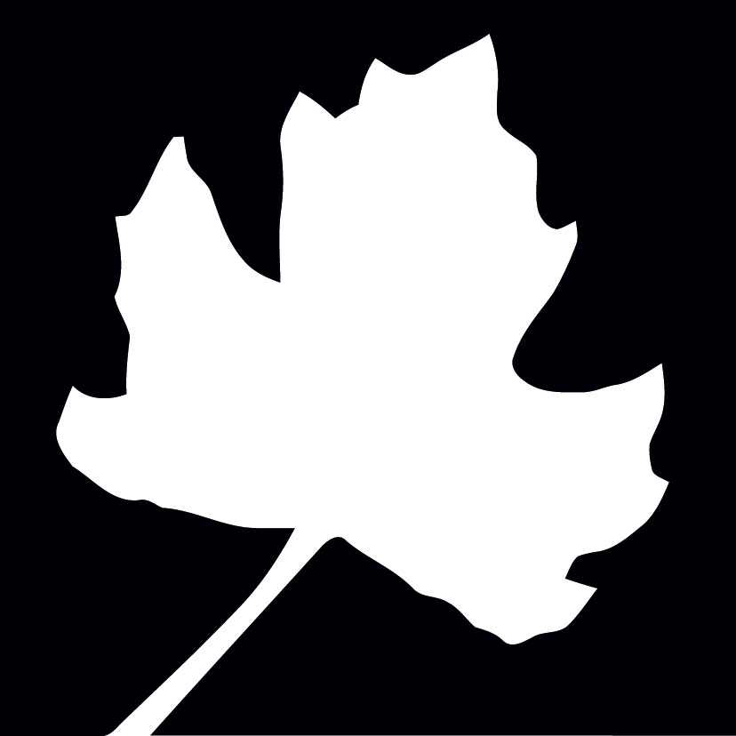 vitis-in-situ.be favicon