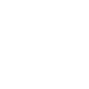 diepruefer.de favicon