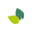 heilpflanzenwohl.com favicon