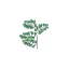 lasacaciashostel.com favicon