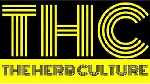 thcstore.in favicon