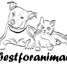 bestforanimals.de favicon