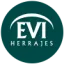 h-evi.es favicon