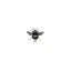 beelinesameday.co.uk favicon