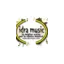 idramusic.it favicon