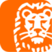 ing.it favicon