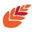 newleaf-kitchens.com favicon