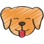pawsense.co favicon
