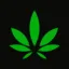 buybudsonline.store favicon