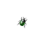 insektentante.de favicon