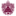 okhuysen.nl favicon