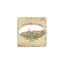 salumeriaumbra.com favicon