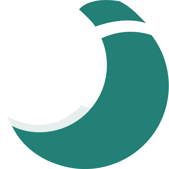 savvynomad.io favicon
