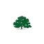 thecarpentrystore.com favicon