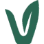 vertigea.com favicon