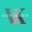 vikautogadgets.com favicon