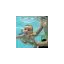 5starswimschools.com.au favicon