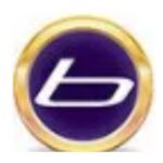 burbagefinance.co.uk favicon