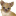 jouwdierenzaak.nl favicon