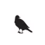 miamelon.com favicon