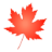 packwiz.ca favicon