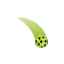 paddlepro.com favicon