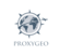 proxygeo.com favicon