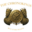 thechronokings.com favicon