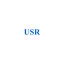 theusreview.com favicon