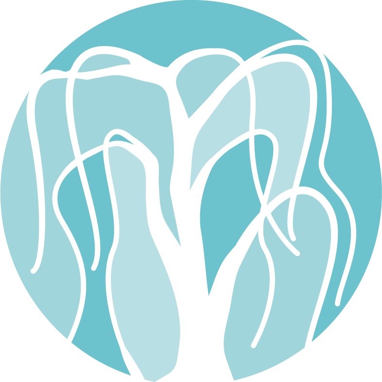 willowtreeaesthetics.co.uk favicon