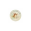lepetitmonde-de-sasha.bzh favicon