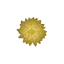 ritualtantramassage.com favicon